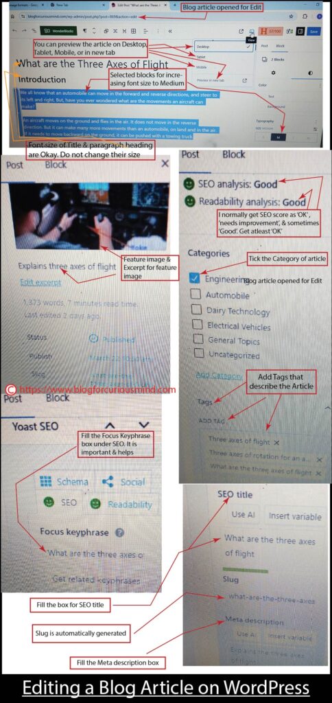 Editing a Blog Article on WordPress