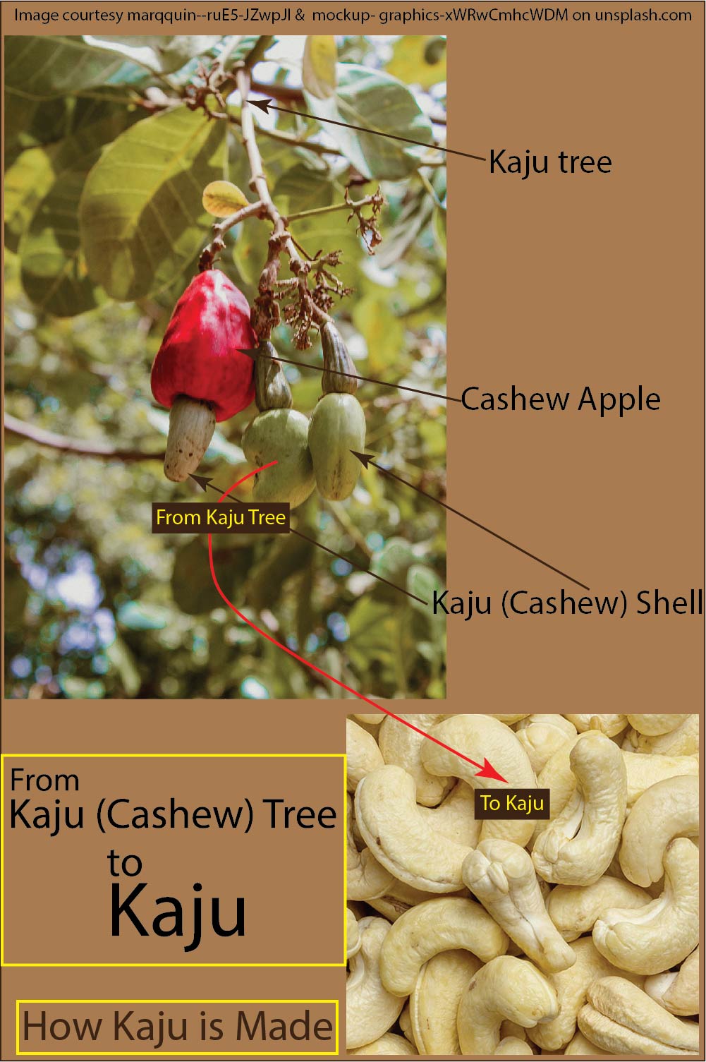 How Kaju (Cashew) is made in factory