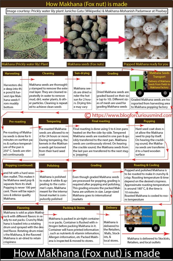 How Makhana (Fox nut) is made
