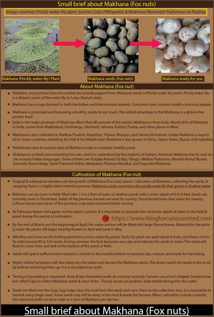 Small brief about Makhana (Fox nuts)
